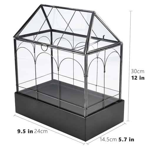 HighFree Glass Terrarium with Metal Tray, Glass Greenhouse Terrarium Kit for Succulents, Cacti, Snails, Spiders, and Miniature Reptiles, Black (Large-9.45" L x 5.7" W x 11.8" H) - size: Large-9.45"L x 5.7"W x 11.8"H
