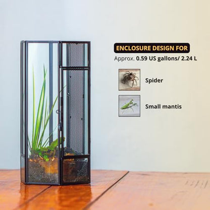 NCYP Small Glass Enclosure Terrarium with Mesh and Door for Spiders - Hexagon Shape Small Mantis Vented Glass Terrarium 4.9'' x 4.3'' x 9.4'', Tabletop Decor, Black (Plants Not Include) - size: 4.9'' x 4.3'' x 9.4''