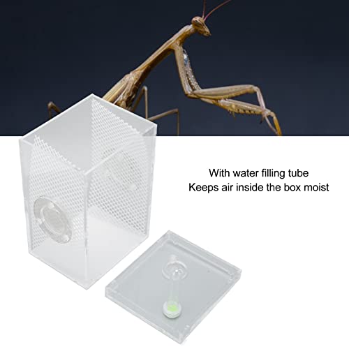 Reptile Enclosure Tank, Mini Acrylic High Transparency Moisturizing Reptile Breeding Box, Acrylic Reptile Cage Terrarium Tank for Tarantula Scorpion Sling Isopods(L)