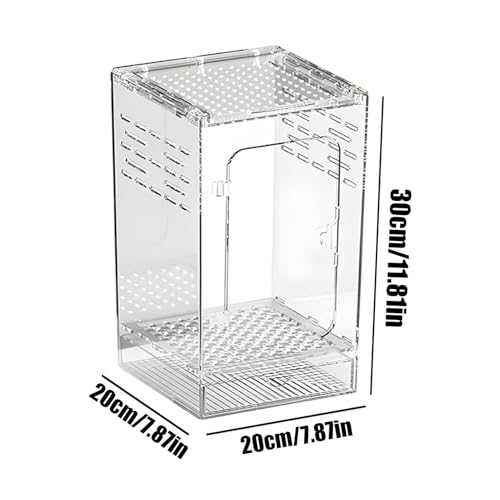Jumping Spider Enclosure – Acrylic 15x15x25cm | Small Reptile Habitat with Dual-Sided Ventilation | Front-Opening Arboreal Tarantula Tank | Transparent Terrarium for Mantis and Invertebrate Use - color: Large arboreal breeding box
