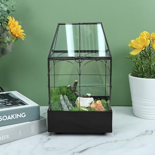 HighFree Glass Terrarium with Metal Tray, Glass Greenhouse Terrarium Kit for Succulents, Cacti, Snails, Spiders, and Miniature Reptiles, Black (Small-5.9" L x 5.9" W x 10.2" H) - size: Small-5.9"L x 5.9"W x 10.2"H