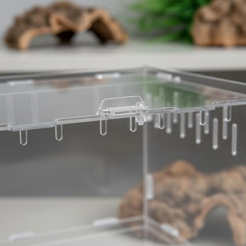 Transparent Reptile Enclosure Through Quality Clear Reptile Habitat Secure Latch Clear Acrylic Terrarium for Arachnid Enthusiasts, 20-12-12 - style: 20-12-12