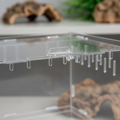 Transparent Reptile Enclosure Through Quality Clear Reptile Habitat Secure Latch Clear Acrylic Terrarium for Arachnid Enthusiasts, 20-12-12 - style: 20-12-12
