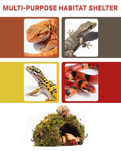 Reptile Hides and Caves – Leopard Gecko Tank Accessories, Natural Dome Reptile Cave & Shelter, Gecko Tank Accessories & Hermit Crab Shelter, Hamster Cage Accessories