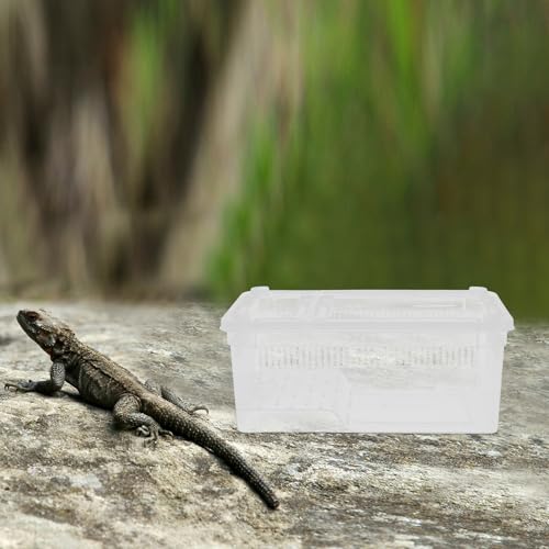 Transparent Portable Reptile Breeding Box with Breathable Holes Clear Insect Enclosure for Lizards Snakes Spiders and Frogs Small Reptile Habitat for Feeding and Observation