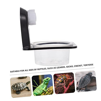BESPORTBLE 1set Wall-Mounted Reptile Water Bowl Suction Cup Feeding Dish for Lizards Geckos and Frogs Space-Saving Design Easy to Clean Capacity