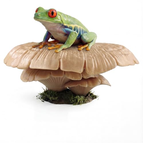 Mushroom Reptile Ledge| Tree Frog Terrarium Tank Accessories, Crested Gecko Tank Accessories, Frog Habitats, Fish Tank Decor| Terrarium Plants Decor from Daughter| No Suction Cups - color: Beige