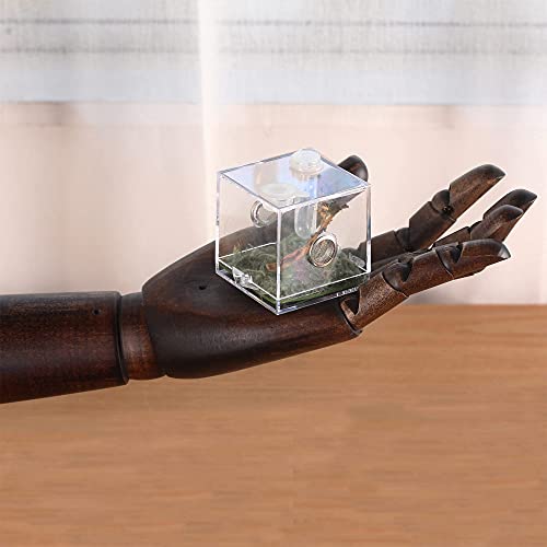 Jumping Spider Micro Middle Habitat, Small Pet Insect Breeding Box, 360 Degree Transparent Reptile Cage, Acrylic Case Mini Carrier for Amphibians, Feeding Container Enclosure Accessories - size: 2x2x2.1inches