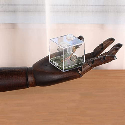 Jumping Spider Micro Middle Habitat, Small Pet Insect Breeding Box, 360 Degree Transparent Reptile Cage, Acrylic Case Mini Carrier for Amphibians, Feeding Container Enclosure Accessories - size: 2x2x2.1inches