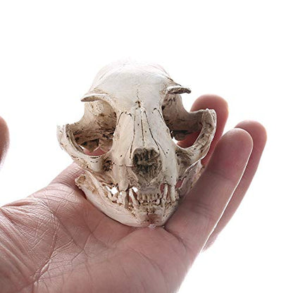 Halloween Resin Cat Skull Skeleton Model Figurine Animal Scary Skeleton Props for Home Décor Aquarium Fish Tank Landscape Collectible Teaching Prop
