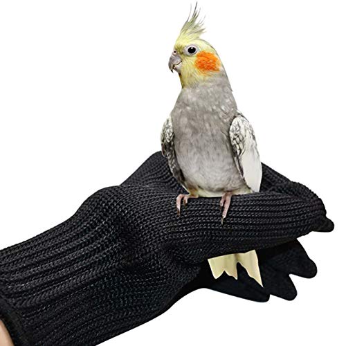 Petyoung Bird Training Anti-Bite Gloves, Small Animal Handling Gloves