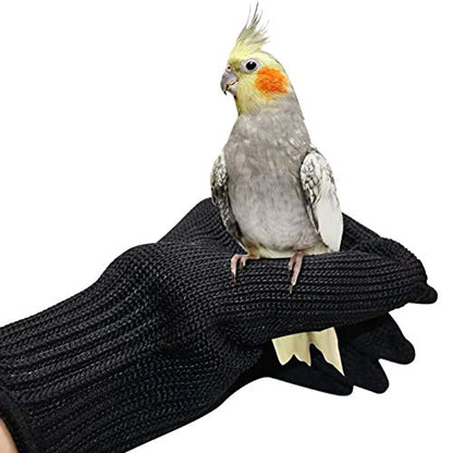 Petyoung Bird Training Anti-Bite Gloves, Small Animal Handling Gloves
