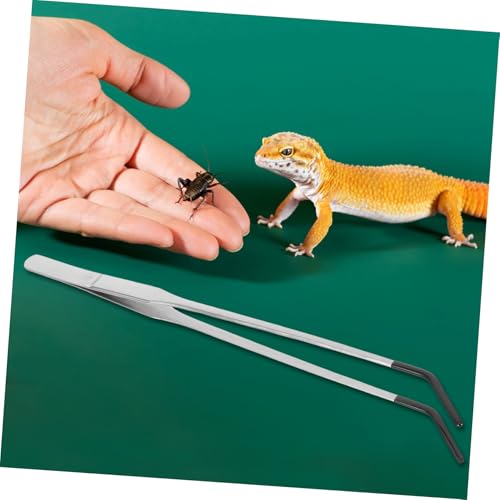 2pcs Stainless Steel Gecko Feeding Tongs with Rubber Tips Long Curved Aquarium Tweezers for Reptiles Lightweight Terrarium Supplies for Snakes and Lizards