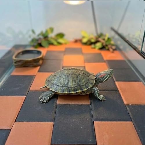20pcs Turtle Basking Rock, Turtle Tank Decorative Stone, 2.36×1.57×0.2 Inches.Temperature Regulating Platform for Feeding, Basking and Nail Grinding, Ideal for Reptiles and Amphibians (Red) - color: Red
