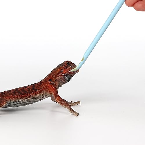 2Pcs Crested Gecko Food Mixing Spoon, Feeding Spoon fit Lizard Gargoyle Bearded Dragon - Blue - size: 1 Ounce (Pack of 2)