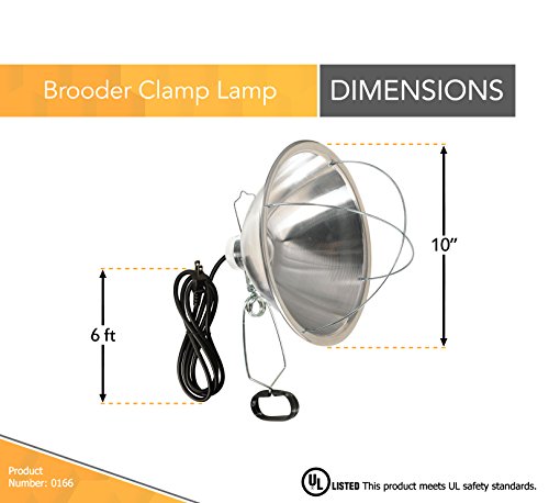 Woods Clamp Lamp with 10 Inch Reflector and Bulb Guard (300 Watt Bulb,6 Foot Cord),(Pack of 12) - size: 1 Count (Pack of 12)