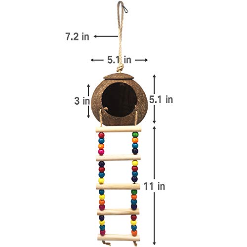 Hanging Coconut Birds House with Ladder,Natural Coconut Fiber Shell Bird Nest for Parrot Parakeet Lovebird Finch Canary,Coconut Hide Birds Swing Toys for Hamster,Bird Cage Accessories,Pet Bird Supply