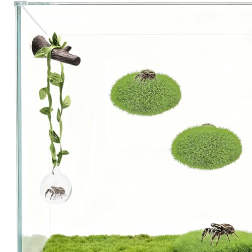 Jumping Spider Enclosure Accessories, 1 Glass Ball Habitat Hide with Green Rope and Artificial Tree Branch 2 Green Platform, Jumping Spider Enclosure Decor
