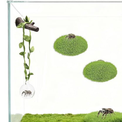 Jumping Spider Enclosure Accessories, 1 Glass Ball Habitat Hide with Green Rope and Artificial Tree Branch 2 Green Platform, Jumping Spider Enclosure Decor