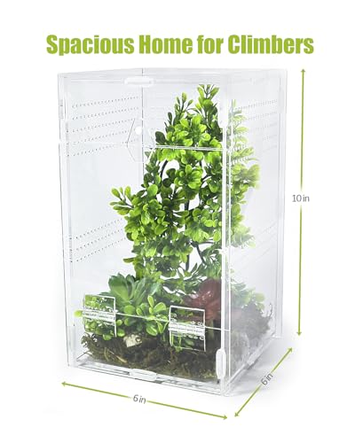 Jumping Spider Enclosure 6”x6”x10”, Transparent Arboreal Tarantula Habitat, Praying Mantis Terrarium Critter Cage for Jumping Spider, Tarantula, Mantis, Snail, Isopods, Beetles, Millipedes - size: Large
