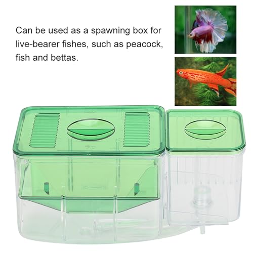 Fish Breeder Box for Aquarium — Double Chamber Hang-On Fry Isolation Box for Betta, Guppy & Livebearers | Feeding Hole | Clear View | Fits Most Fish Tanks