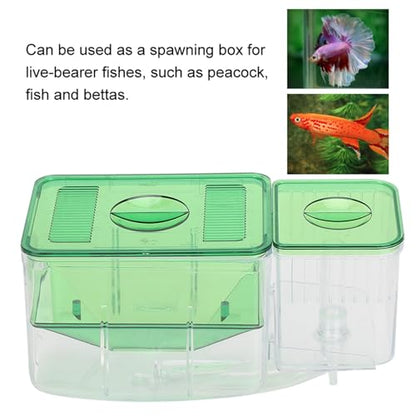 Fish Breeder Box for Aquarium — Double Chamber Hang-On Fry Isolation Box for Betta, Guppy & Livebearers | Feeding Hole | Clear View | Fits Most Fish Tanks