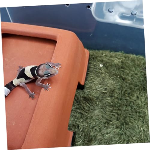 LIOOBO Reptile Moss Carpet for Terrarium Absorbent Faux Lawn Mat for Amphibians and Reptiles Comfortable Resting Place Green for Crawling Pets and Tortoise Habitats