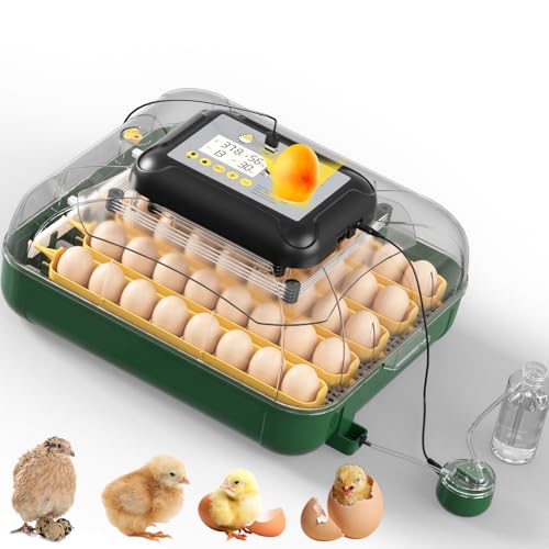 30 Egg Incubator for Hatching Eggs with Auto Egg Turning, High Precision Temperature & Humidity Display, Hatch Day, Egg Candler, Upgraded Motor, Incubator for Hatching Chickens, Higher Hatch Rate - color: Dark Green, size: L- 30 Chicken Eggs
