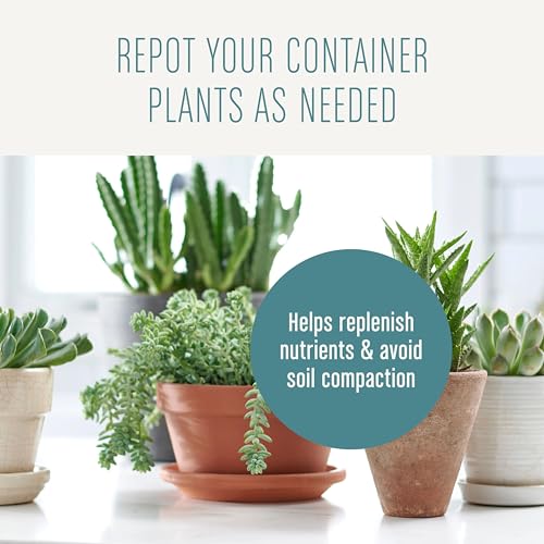 Miracle-Gro Succulent Potting Mix, 4 qt. | For Indoor Succulents, Aloe Vera and More, Made with Miracle-Gro Plant Food - size: 1 Pack, style: Succulent