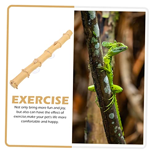GALPADA Bearded Dragon Climbing Natural and Grapevine Wood Branch Rack for Lizard Habitat for Reptiles Geckos Chameleons and Snakes