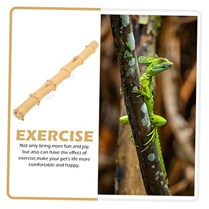 GALPADA Bearded Dragon Climbing Natural and Grapevine Wood Branch Rack for Lizard Habitat for Reptiles Geckos Chameleons and Snakes