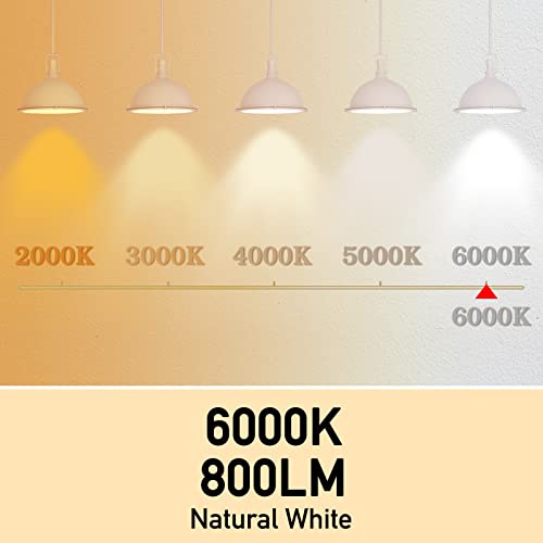 Full Spectrum Light Bulb, 6000K Natural Sunlight Bulbs, 9W 60W Equivalent LED Light Bulb, Natural Light Bulbs A19, E26/E27, 4 Pack - color: 6000k Daylight, size: 4 Count (Pack of 1)