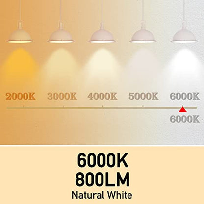 Full Spectrum Light Bulb, 6000K Natural Sunlight Bulbs, 9W 60W Equivalent LED Light Bulb, Natural Light Bulbs A19, E26/E27, 4 Pack - color: 6000k Daylight, size: 4 Count (Pack of 1)