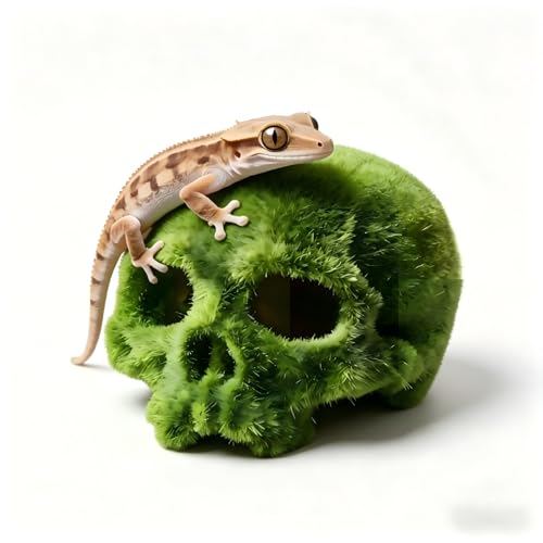 Realistic Mossy Skull Terrarium Ornament - 4.5" Reptile Habitat Decor for Gecko, Spider, Lizard Enclosure