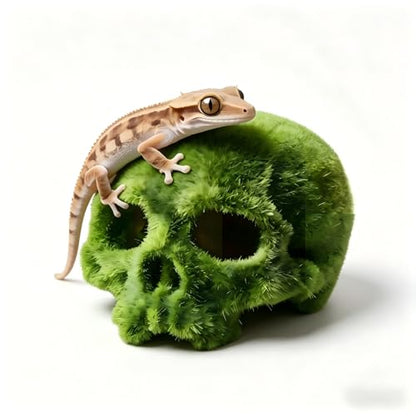 Realistic Mossy Skull Terrarium Ornament - 4.5" Reptile Habitat Decor for Gecko, Spider, Lizard Enclosure