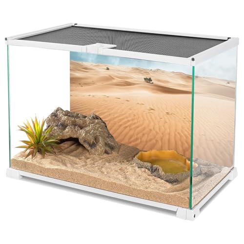 AWERT 30x18 inches Reptile Habitat Background Desert Landscape Photography Backdrop Sand Dunes Sparse Green Shrub Plant Trees Blue Sky Natural Scenery Background - size: 30x18in/75x45cm