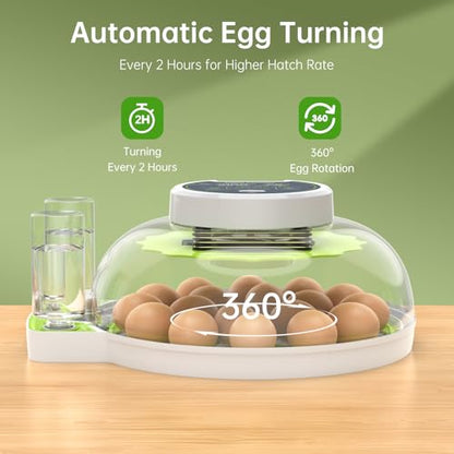 8 Egg Incubator with Automatic Egg Turning, Temperature & Humidity Control, Egg Candler, Mini Digital Incubator for Hatching Chicken Duck Quail Goose Bird – Home & Classroom Use - size: 8 Egg