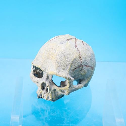 Skull Head Reptiles Hideouts Caves Resin Landscape Decoration Fishtanks Terrariums Accessories for Snake Bearded Dragon Resin Skull Head Decors for Aquariums
