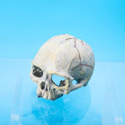 Skull Head Reptiles Hideouts Caves Resin Landscape Decoration Fishtanks Terrariums Accessories for Snake Bearded Dragon Resin Skull Head Decors for Aquariums