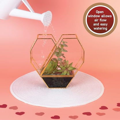 D'Eco Glass Heart Centerpiece (8x8x2.5)- Tabletop Planter Terrarium - Spring Home Decor & Wedding Letterbox - Fill with Succulents, Cacti, Air Plants, Moss, Flowers for Plant Lovers - size: Heart
