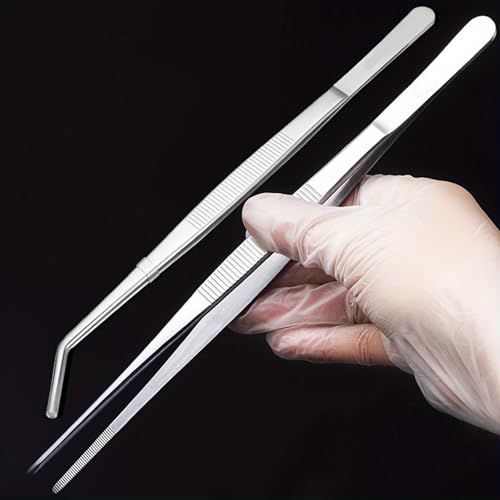 Stainless Steel Reptile Feeding Tongs Tweezers for Aquarium, Terrarium & Crafts Bearded Dragon Snake Tank Accessories, Planted Tank Tools Feeder for Lizards-5.51 Inches Straight - size: 5.51 Inches Straight
