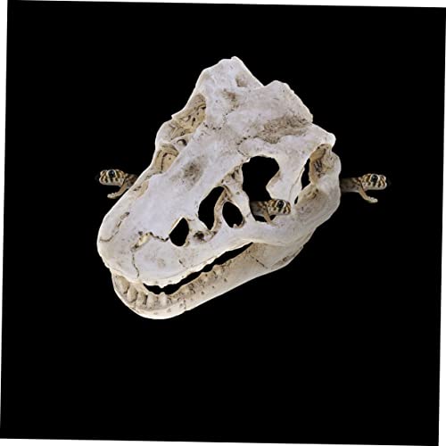 Resin Reptile Pet Skull Hide Skull for Reptile Tank Accessories Fish Tank Decor