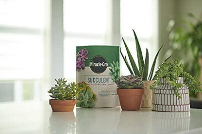 Miracle-Gro Succulent Potting Mix, 4 qt. (2-Pack) | Potting Soil Mix for Indoor Succulents, Aloe Vera and More, Made with Miracle-Gro Plant Food - size: 2 Pack, style: Succulent