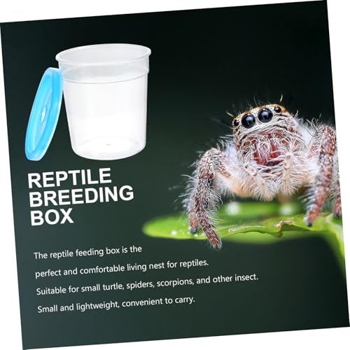 Plastic Reptile Feeding Box Lid Mini Turtle Tank and Betta Fish Cup Insect Breeding Container for Terrarium and Aquariums 1 Piece Random Color
