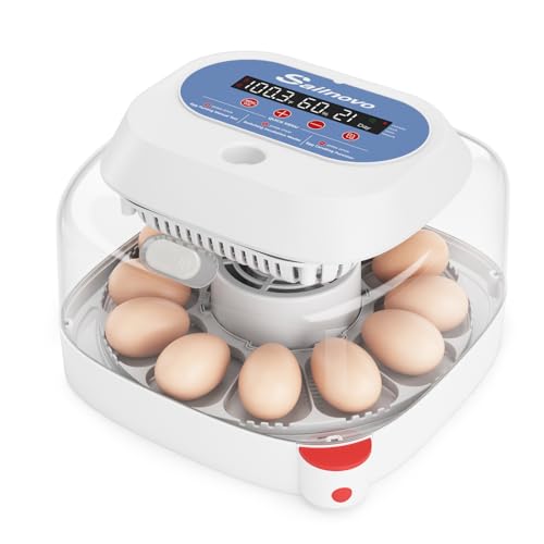 Sailnovo 12 Egg Incubator with Automatic Egg Turning and Humidity Display, Built-in Candler & 360° View Window, Manual & Preset Modes for Hatching Chicken Duck Quail Eggs Home Classroom Lab