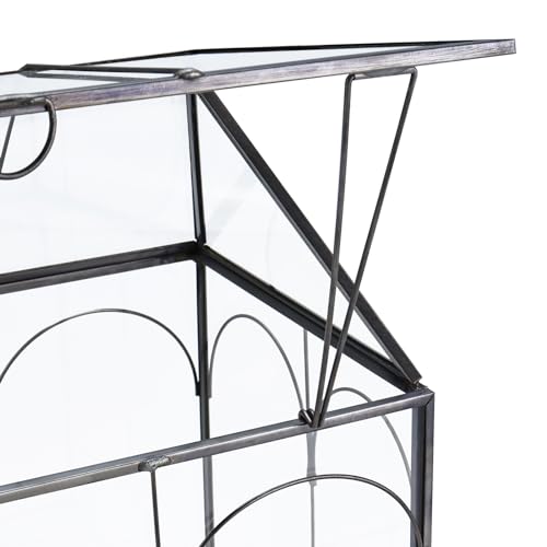HighFree Glass Terrarium with Metal Tray, Glass Greenhouse Terrarium Kit for Succulents, Cacti, Snails, Spiders, and Miniature Reptiles, Black (Large-9.45" L x 5.7" W x 11.8" H) - size: Large-9.45"L x 5.7"W x 11.8"H