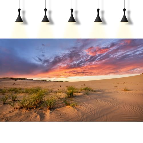 Sunset Desert Reptile Tank Background Majestic Desert Landscape Terrarium Background Desert Sand Dunes Reptile Habitat Background Sunrise Gobi Barren Thorns Aquarium Fish Tank Background 24x12in - size: 24(W)x12(H)inches/ 60(W)*30cm(H)