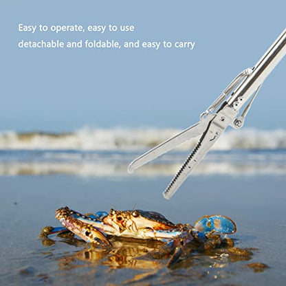 Alomejor 30in Aquarium Tweezers Fish Long Reach Tongs for Crab Seafood Octopus(Straight Clip)
