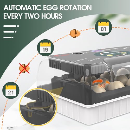 12 Egg Incubator - Automatic Egg Turner, Temperature Control, Built-in Candler, Auto Water Refill for Hatching Chicken, Duck, Quail & Bird Eggs - size: 12 --EGGS