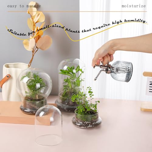WHJY 6 inches Glass Cloche for Indoor Plants Small Terrarium Glass Cloche with Base Mini Cloche Dome with Base for Display Home Decor - size: 6.3"